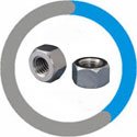  Incoloy 800H Acme Nuts