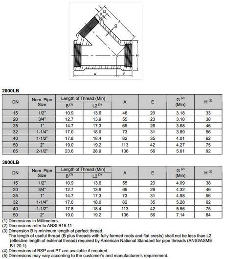 Best Manufacturer & Supplier in the World