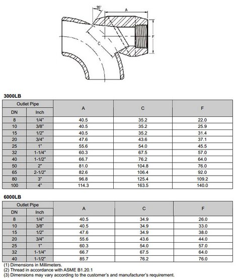 Best Manufacturer & Supplier in the World