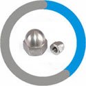  Incoloy 800H Cap Nuts