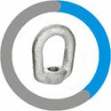 Incoloy 800H Forged Eye Nut