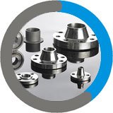 Incoloy 800 Flanges