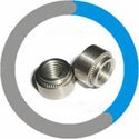  Incoloy 800H Self Clinching Nuts