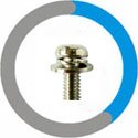  Incoloy 800H Sems Screw